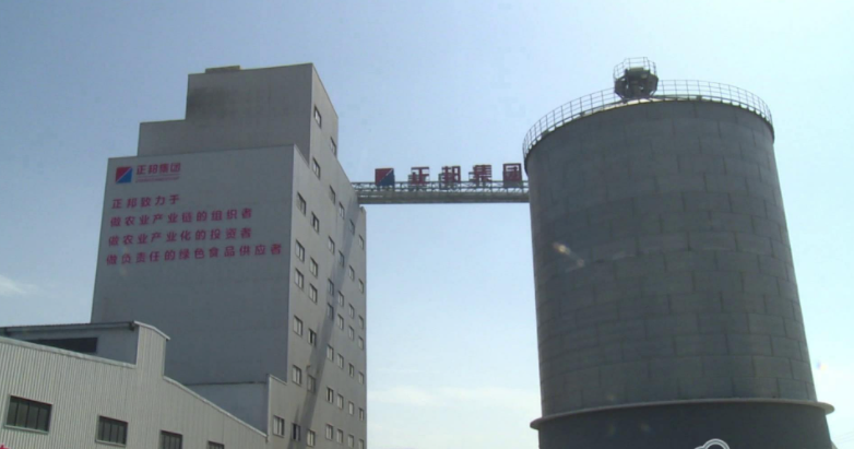沙洋(yang)正(zheng)邦(bang)現(xian)代公(gong)司